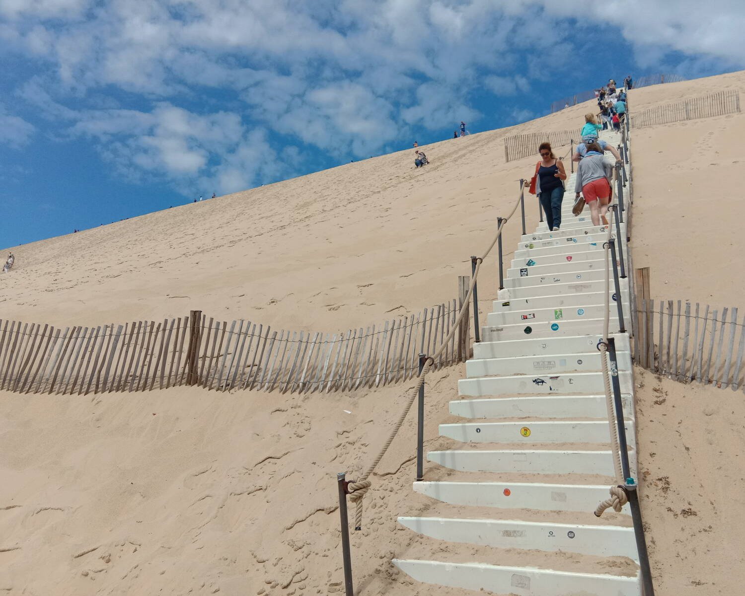 Bassin d'Arcachon 阿卡雄海湾IMG_20180505_200310 art science apprendre chinoise Neuroesthétique art therapie 神经美学与健康室内设计艺术疗法智慧健康智能家居